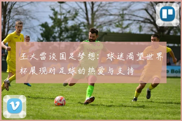 王大雷谈国足梦想：球迷渴望世界杯展现对足球的热爱与支持