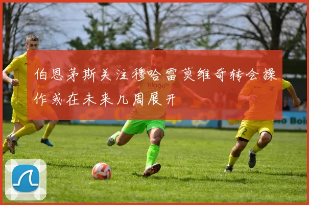 伯恩茅斯关注穆哈雷莫维奇转会操作或在未来几周展开